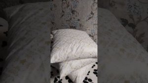пух и перо на подушку. каких гусей лучше выбирать.