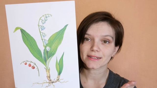Просто о растениях. Ландыш