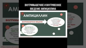Внутривенное и внутримышечное введение ампициллина #антибиотики #ампициллин #фармакология #фармацев