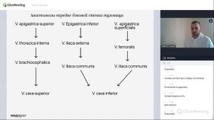 Порто-кавальные и кава-кавальные анастомозы | Кровообращение плода | Анастомозы | Анатомия