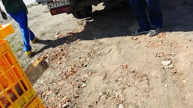 Утка Стар 53 смотреть онлайн