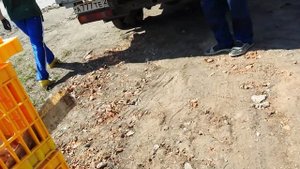 Утка Стар 53