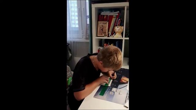 Проект Семен Ланько "Экологически чистый  транспорт"