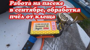 ПАСЕЧНЫЕ РАБОТЫ В СЕНТЯБРЕ, ОБРАБОТКА ПЧЁЛ ОТ КЛЕЩА И РЕЗУЛЬТАТ.