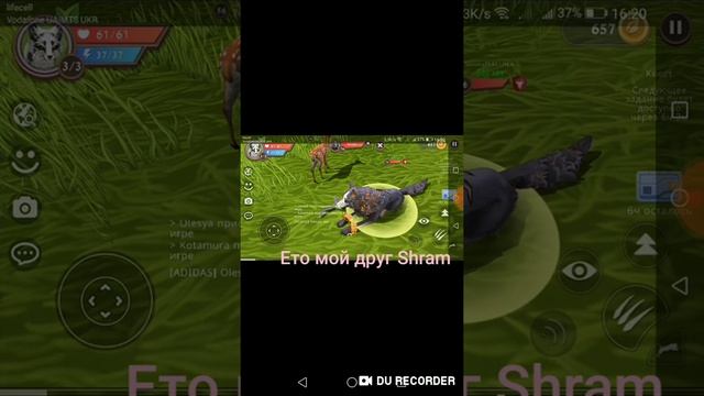 Нашла мистик скин на орла, мой друг Shram смотреть онлайн