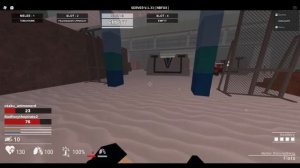 Decaying winter moments | roblox