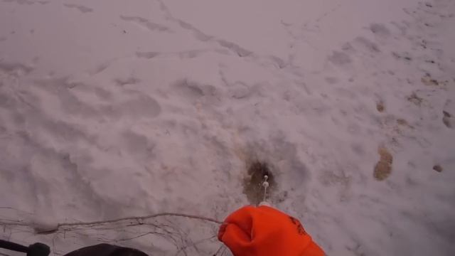 Подлёдная рыбалка на сети в глухозимье. По тонкому льду. Ночёвка в холодной избе с Русской печкой. смотреть онлайн