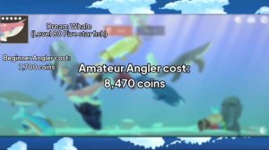 Fishing & Life | Top 20 Best 4 - 5 Star Fish in your Aquarium |