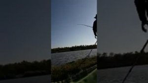 Рыбалка.Хутор Украинский.Успенский район.Краснодарский край.Сьемка на телефон.