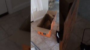 Cordless electric lawnmower by Worx ??