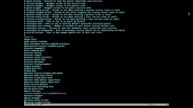 All Things BSPWM - Display Managers and Lock screen смотреть онлайн