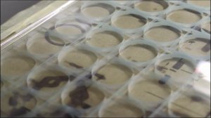 Пикосекундный лазер для резки стекла | Станок для лазерной резки защитных линз Резка кварцевого