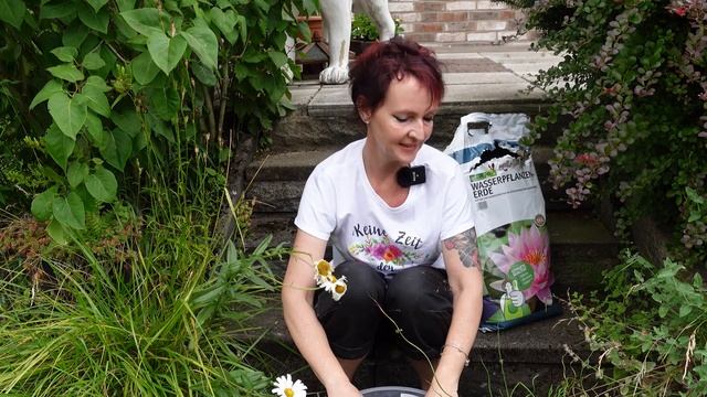 Korkenzieherbinse, Juncus effusus spiralis Pflege-Tipps смотреть онлайн