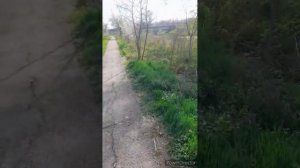 цветник зарос//в школу,со школы//результат ремонта//тренировка//(1 год назад)