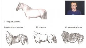 ОГЭ Биология  Задание 28 Рохлов Листочки, собачки, лошадки