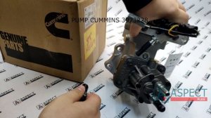 Топливный насос высокого давления Сummins ISLe QSL 3973228 PUMP ASM; INJ