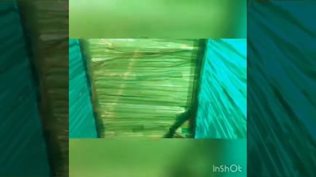 2-х этажный дом из скотча смотреть онлайн