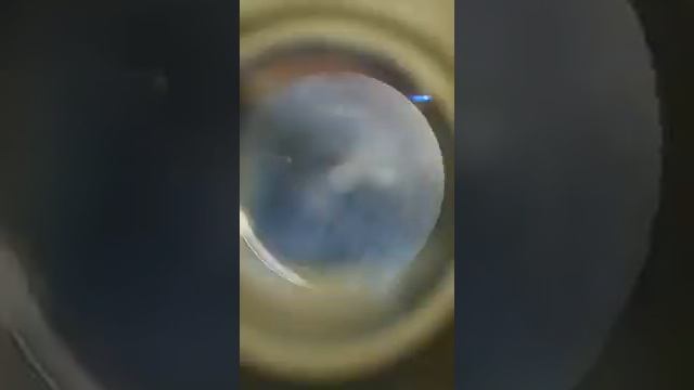 Vista de yogur a microscopio x400 смотреть онлайн