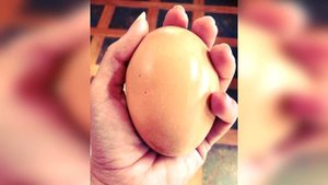Курица снесла гигантское яйцо с очень неожиданным сюрпризом внутри