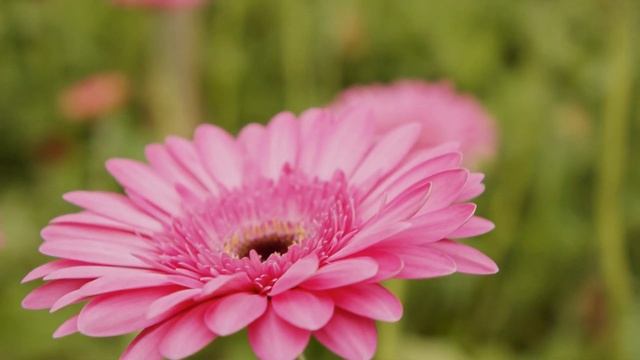 Расслабляющая фортепианная музыка?снять стресс перед сном?лечение бессонницы музыка?исцеление звуко смотреть онлайн