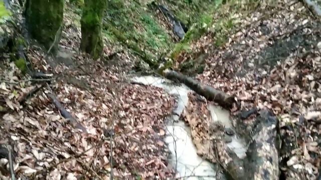 Весна во влажных субтропиках Сочи? смотреть онлайн