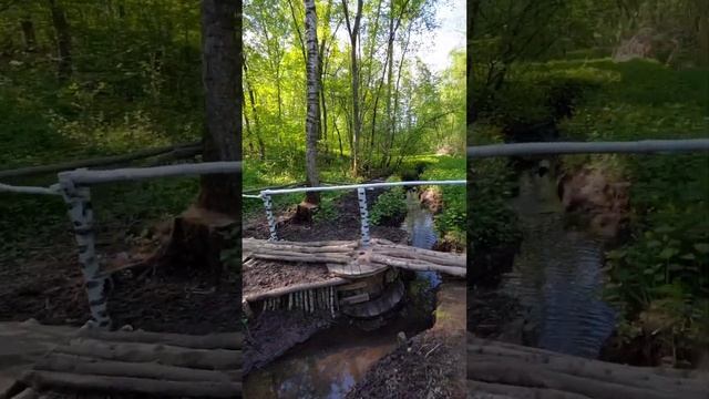 Деревянный мост в лесу. Укрепление берегов. Углубление русла смотреть онлайн