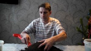 Почвенная смесь, грунт для цитрусов