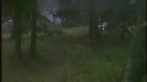 Розыгрыш с Еленой Кориковой.wmv часть 1