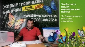 Презентация франшизы ФЕРМА-БАБОЧЕК.РФ