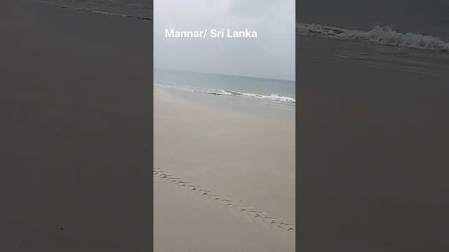 Mannar / Sri Lanka