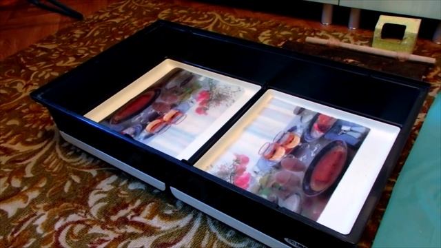 Генеральная уборка клетки моей пернатой стайки. смотреть онлайн