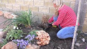 ?Альпийская горка своими руками. Все просто. Easy building a rock garden