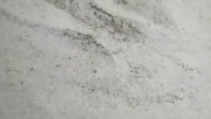 Категория СЕ,Площадка,заезд в гараж ,опыта нет езды с прицепом от слова совсем)
