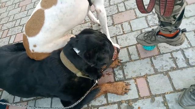 время идёт, но ничего не меняется... смотреть онлайн