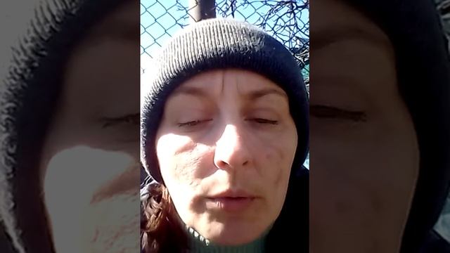 Коровы,быки, молоко, подписка, монетизация - все вместе. смотреть онлайн