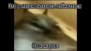 Кота трясёт | Мемы