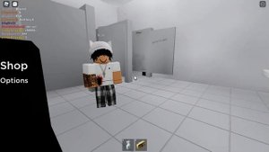 Roblox: Public Bathroom Simulator Review