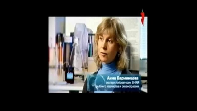 Как купить прессованное филе рыбы смотреть онлайн