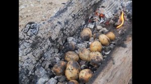 Вред и польза запеченного картофеля