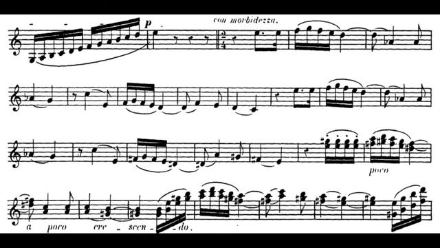 Saint-Saëns : Introduction et Rondo Capriccioso  Violin and Piano