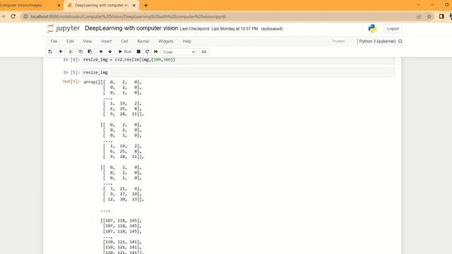 Resize an image using OpenCV