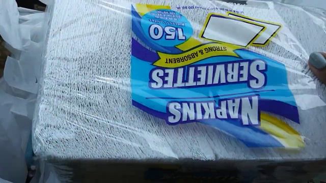NEW! QUICK CAR DOLLAR TREE HAUL
