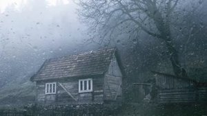 Шум дождя на крыше в тропическом лесу - Звуки дождя и грома для сна