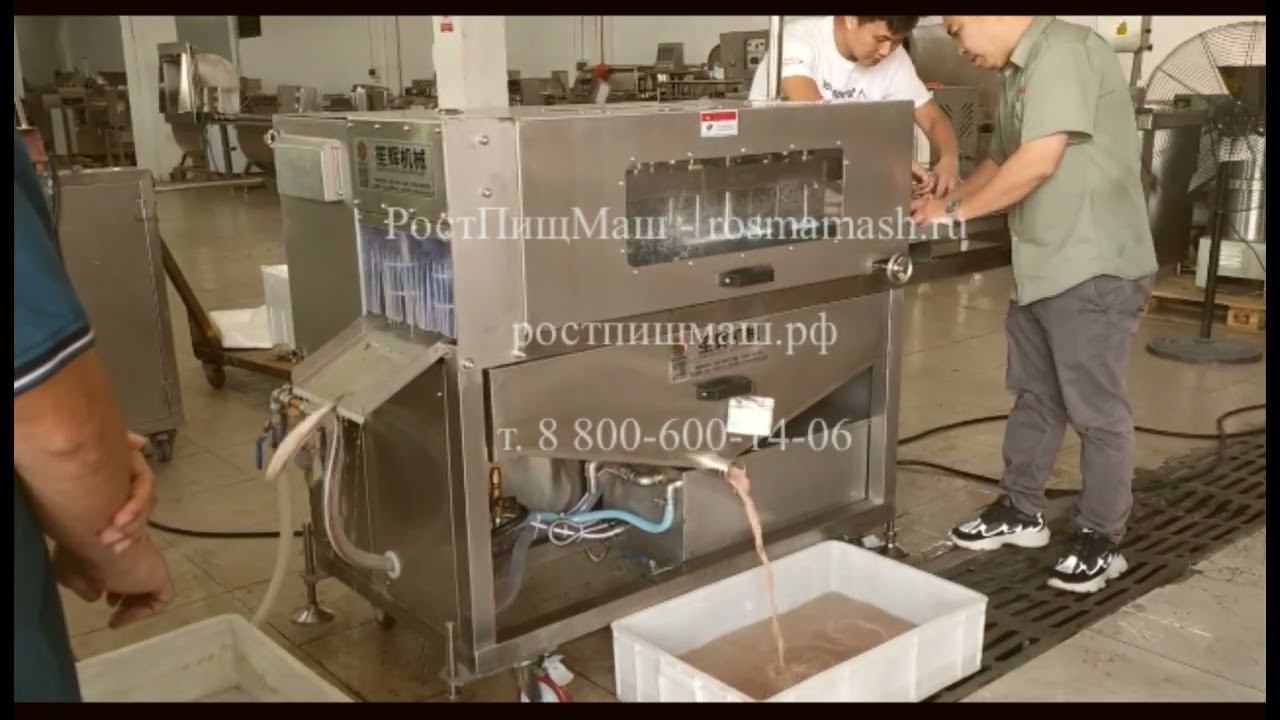 Обзор удаления внутренностей у мелкой рыбы на SY-1000 от РостПищМаш смотреть онлайн