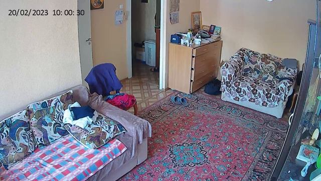 Ip Camera YI Home Y20 День смотреть онлайн