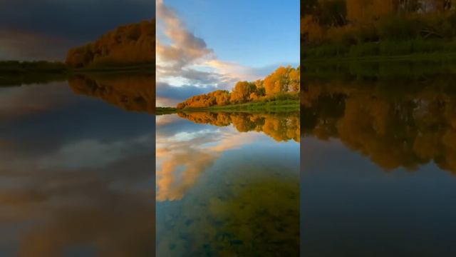 #nature #природа #summer #siberian #природасевера #лес #forest #river  #красиво #окунево #beautiful