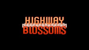 Highway Blossoms →Янепридумаланазвание→3