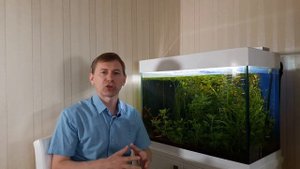 ЗАПУСК АКВАРИУМА, ТРАВНИК: питательный грунт ПРОПАНТ и БИОГУМУС