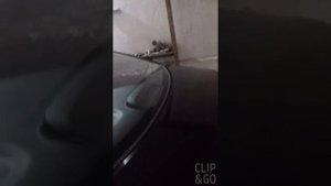Удаление вмятин.машина попала под град.