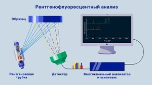 Как открытие Рентгена изменило мир?